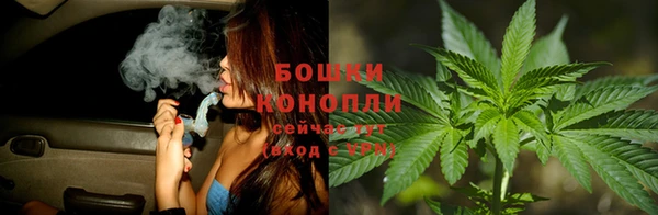 гидропоника Аркадак