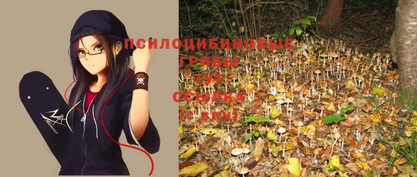 индика Гусев