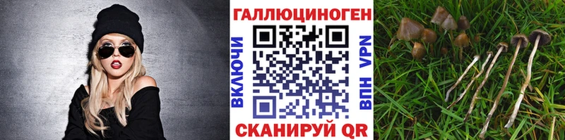 Псилоцибиновые грибы прущие грибы  Спас-Деменск 